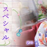 『更科』特集：スペシャルグラビア